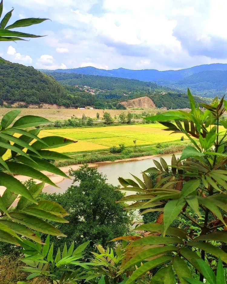 اسکولک گیلان کجاست؟